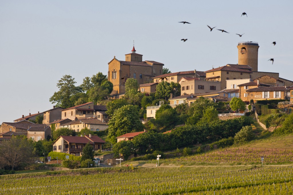 Séminaire Beaujolais des Pierres Dorées