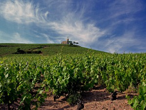 Seminaire macon et beaujolais