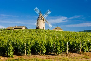 Séminaire macon et beaujolais