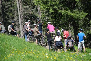 vtt entreprise beaujolais